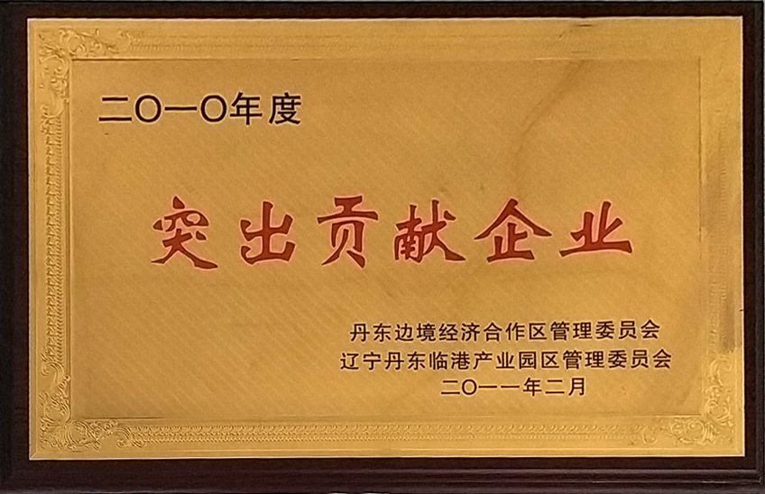 2010年突出貢獻企業(yè).jpg